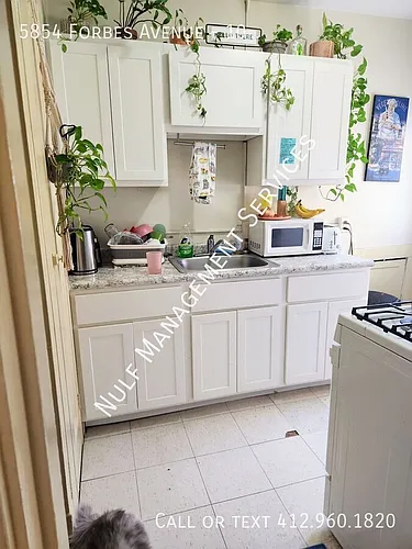 5854 Forbes Ave Photo 1