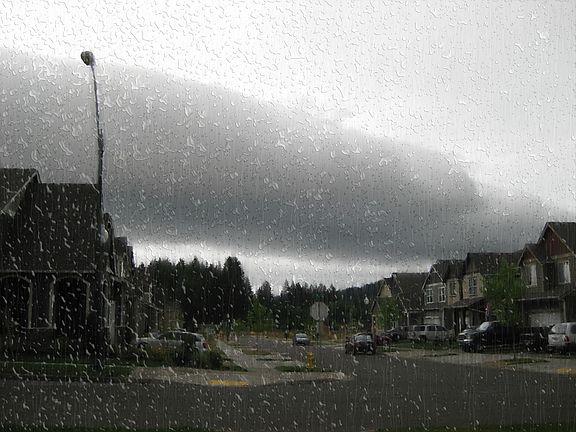 The view from my porch