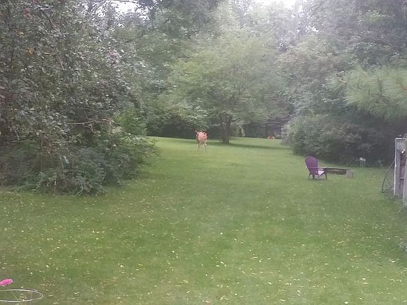 Backyard stretches 500'