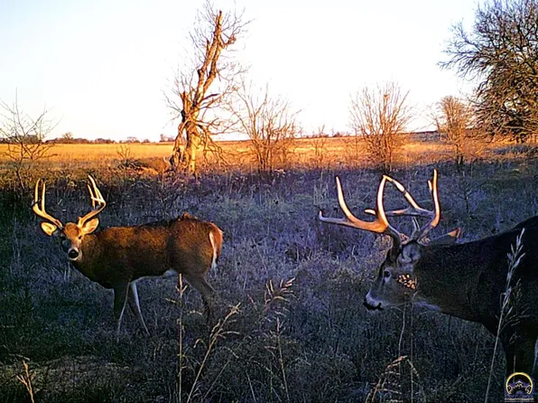 0 90th Rd, Cedar Pt, KS 66843