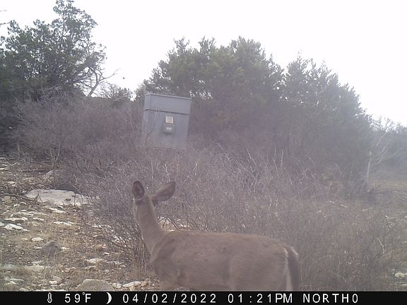 3rd image of 116 LEONA RANCH RD LOT 116