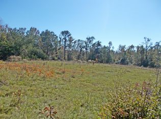 7061 Lewis Ln, Grand Ridge, FL 32442