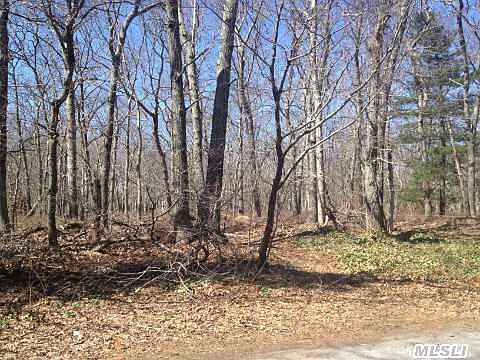 2nd image of 400 Corey Creek Ln
