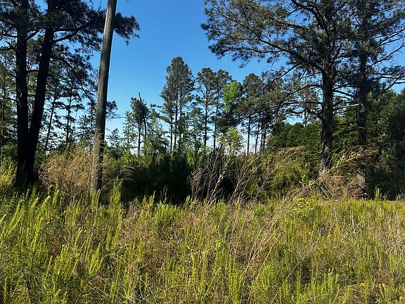 5th image of 4360 Livingwood Dr