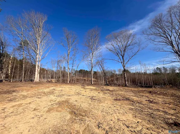 5.16 State Highway 117, Flat Rock, AL 35966