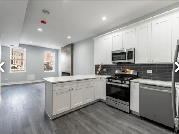 1028 S Oakley Blvd, Chicago, IL 60612