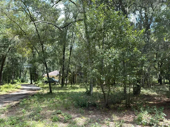 4335 S Tom Ave, Inverness, FL 34452