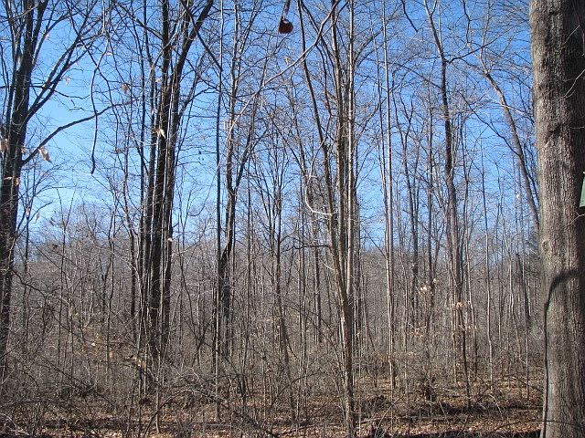 2nd image of 5407 Near Centerfield Rd