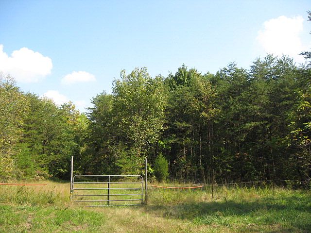 1st image of Forestdale Dr