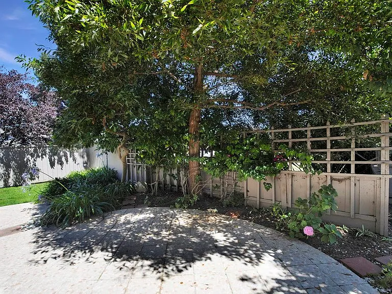 976 Pizarro Ln — Photo 59