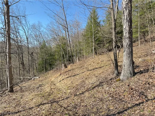 N County Road 22 St #A, Bloomingdale, OH 43910