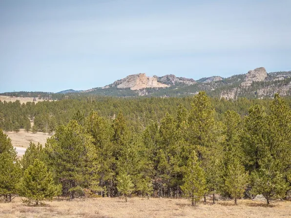 Tbd Mica Ridge Rd, Custer, SD 57730