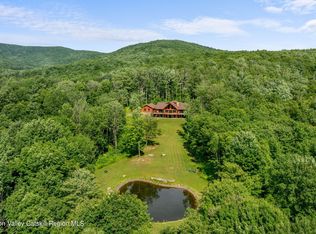 800 Gladstone Hollow Rd, Andes, NY 13731