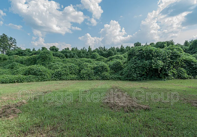 1530 Warrior Rd #33 — Photo 33