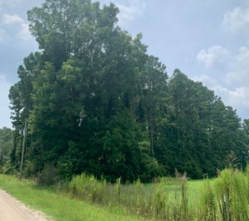2nd image of TBB Old Star Bluff Rd. #Tract 1