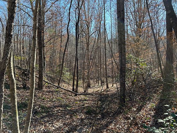 2nd image of County Road 325