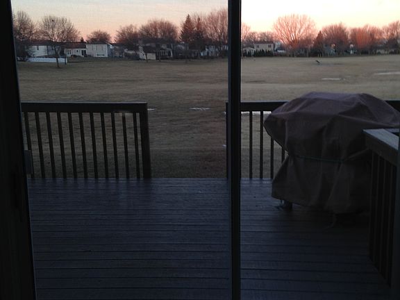 254 Rodenburg - back yard