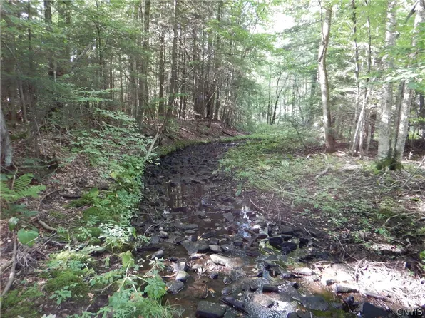 0 Lake Como Rd, Locke, NY 13092