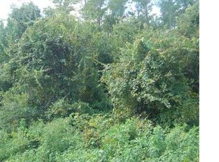 2 Willow Ln, Poinciana, FL 34759