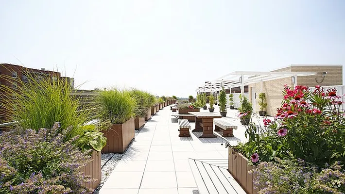 Rented by MODA Upgraded Living | media 55