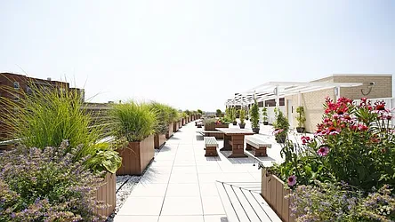 Rented by MODA Upgraded Living