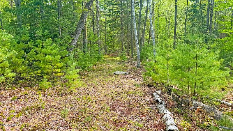 3rd image of L9 Byrd Pond