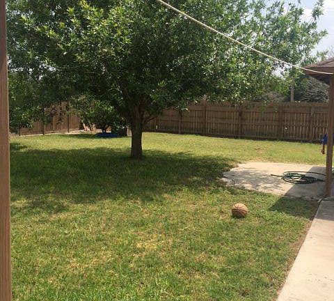 Back yard view.