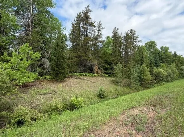 40AC S M 123, Trout Lake, MI 49793