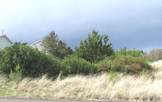 2nd image of 923 S Sand Dune Ave SW