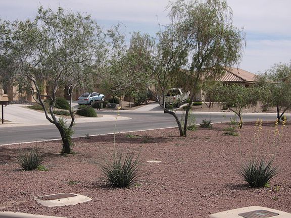 4th image of 12236 N Sora Pl