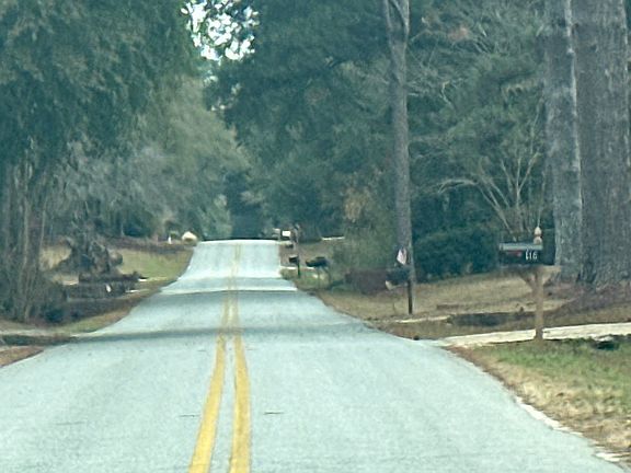 4th image of 110 Westfield Rd