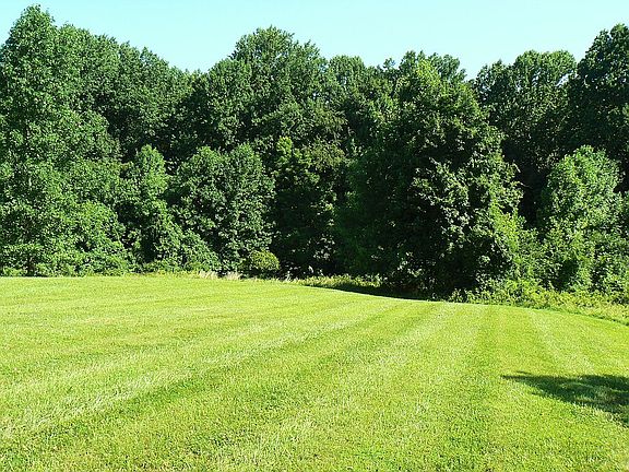 North view /Primary homesite