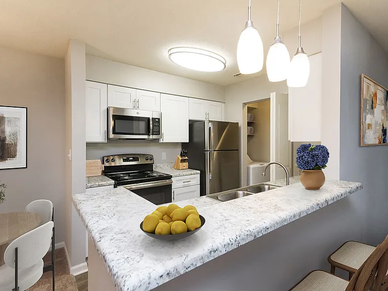 Palmetto Place Apartments — Photo 21
