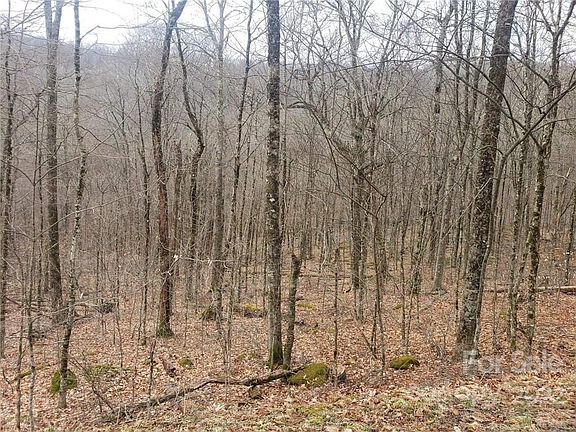 5th image of 0 Shelter Rock Cir #167