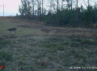 140 Pisgah Rd, Grady, AL 36036