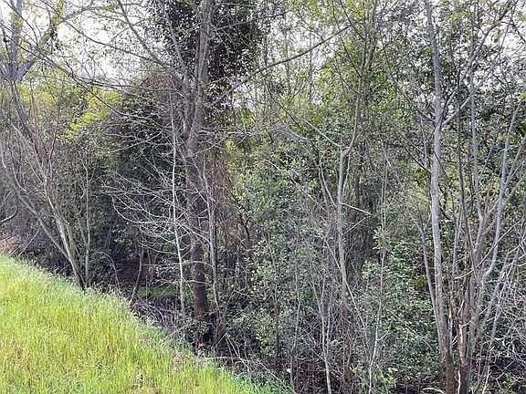 5th image of 0 Camden Hwy