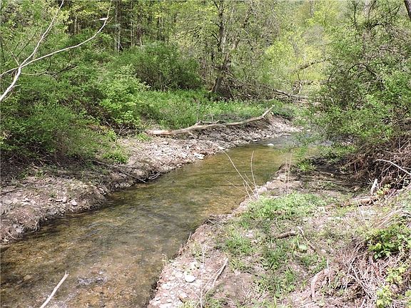 5th image of 11342 Old Glenwood Rd