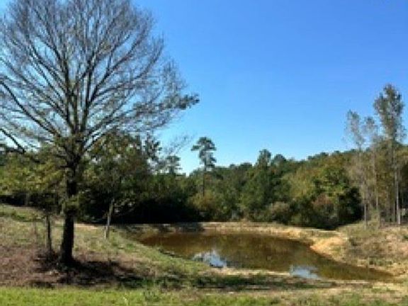 4th image of LOT 1 Highway 42
