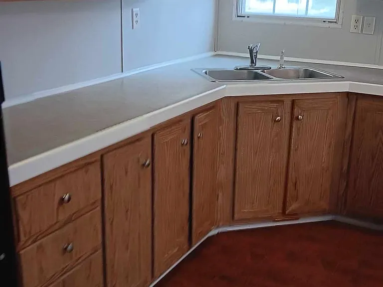 Kitchen sink with newly renovated cabinets