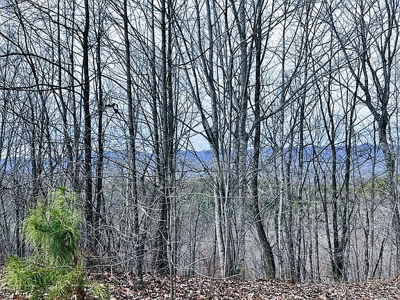 4th image of 1441 Valley View Heights Ln