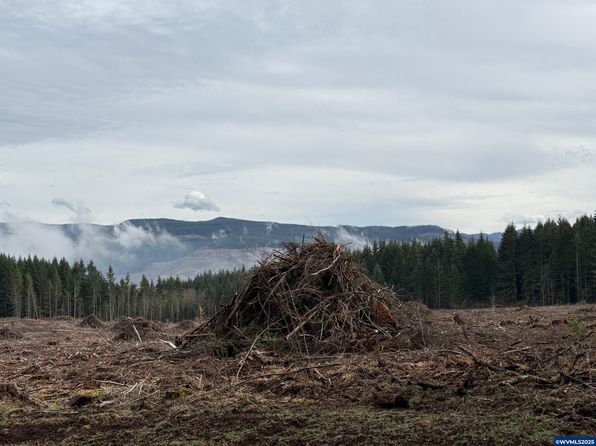 0 S Hardy Rd, Molalla, OR 97038