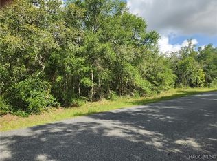 1031 E La Salle St, Hernando, FL 34442