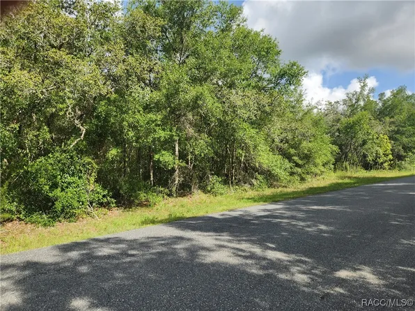 1031 E La Salle St, Hernando, FL 34442