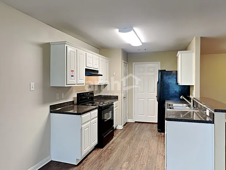 4407 Nueces River Loop — Photo 3