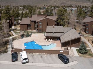 373 Wild Irishman Rd #1089, Dillon, CO 80435