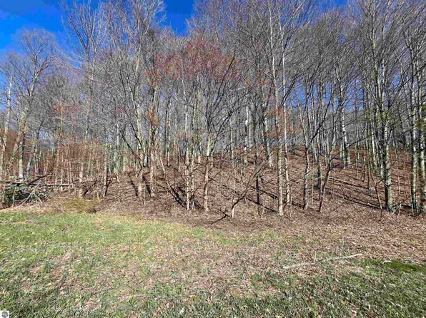 PARCEL Lobb Rd #C, Frankfort, MI 49635