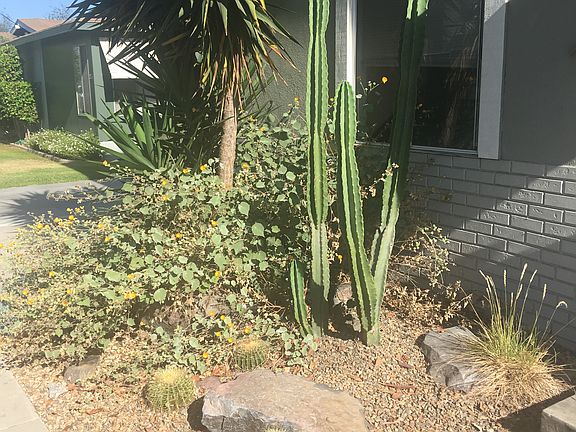 Drought tolerant garden in front of your home!
