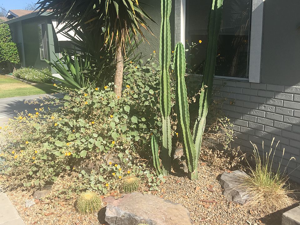 Drought tolerant garden in front of your home!