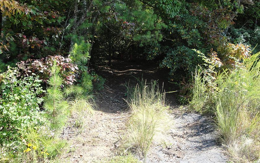 2nd image of 1912 Bristol Rd