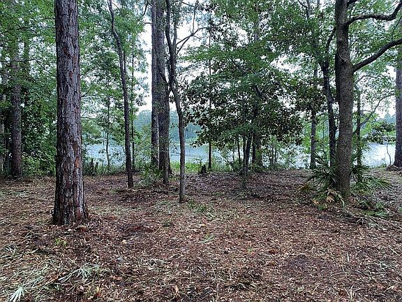 5th image of W Bayou Forest Dr #13
